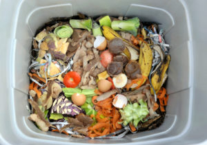 vermicompost